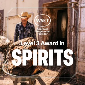 WSET 3 SPIRITS TILE