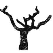 MS